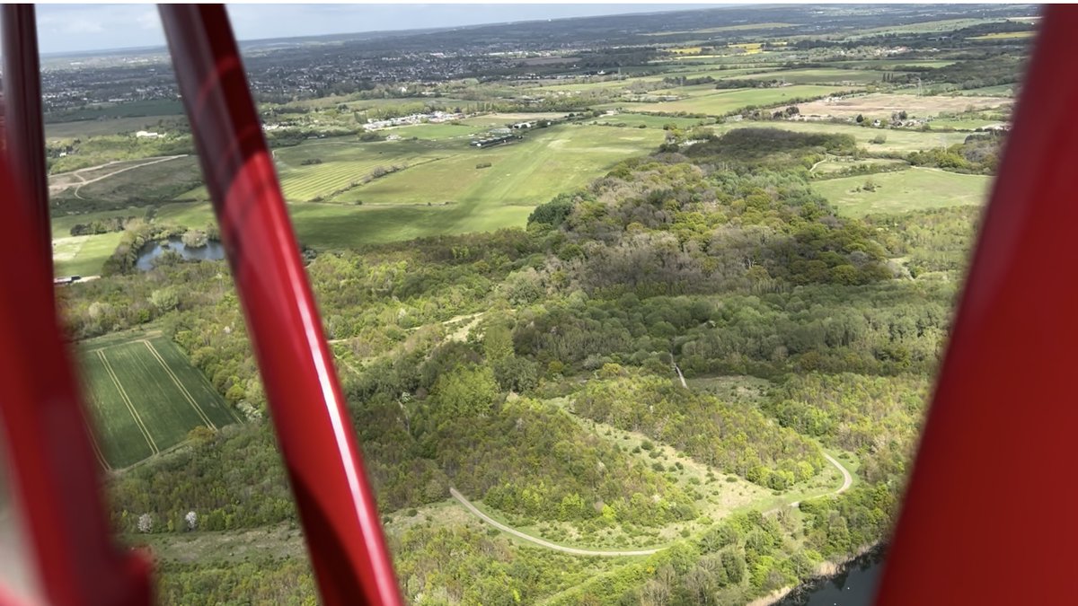 The Tiger Club tweet media