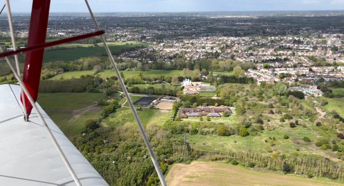 The Tiger Club tweet media