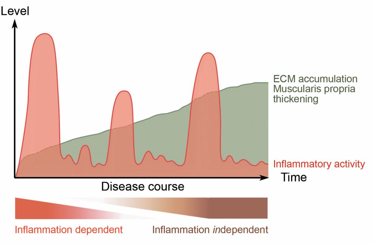 Gut Journal tweet media
