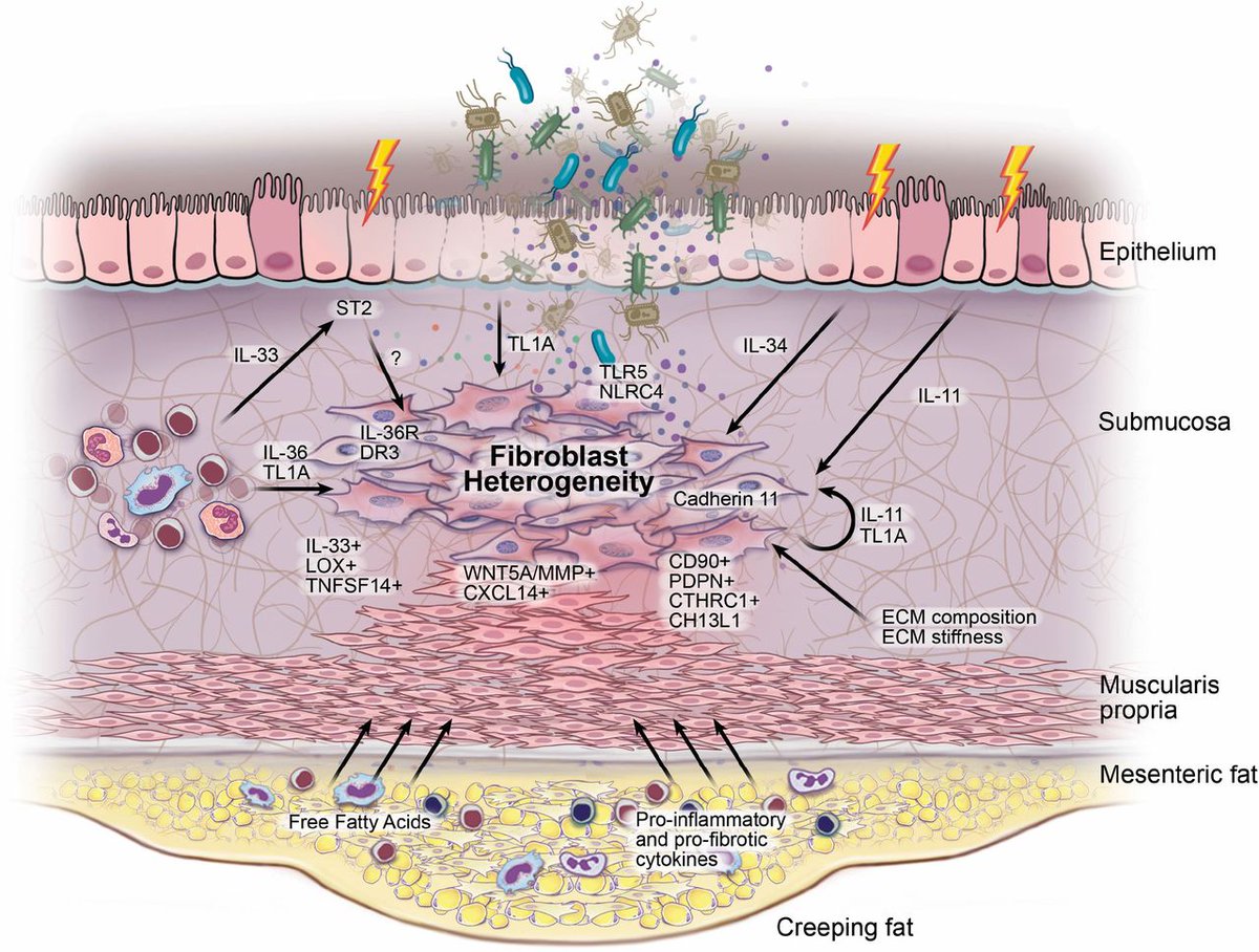 Gut Journal tweet media