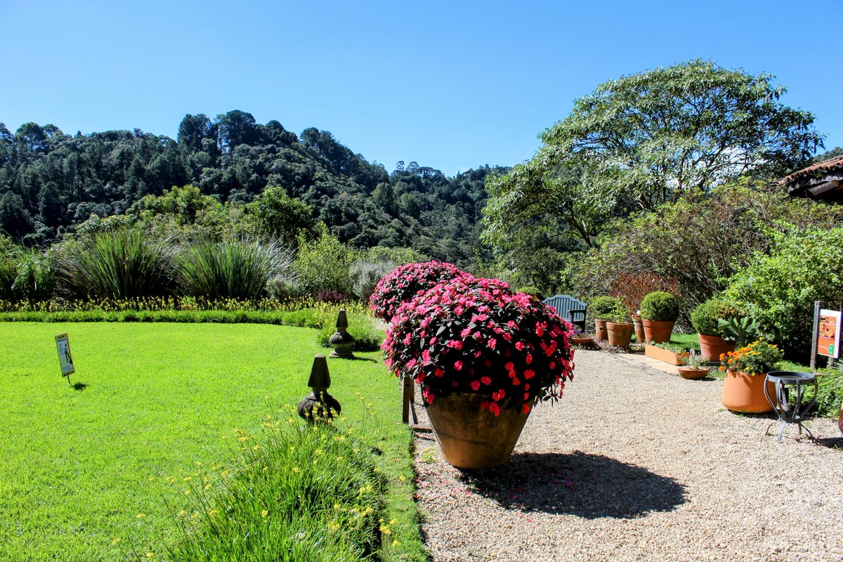 Barnard_Kepler's tweet photo. Bom dia a todos. Parque Amantikir, Campos do Jordão https://t.co/QXJM3fxP5C