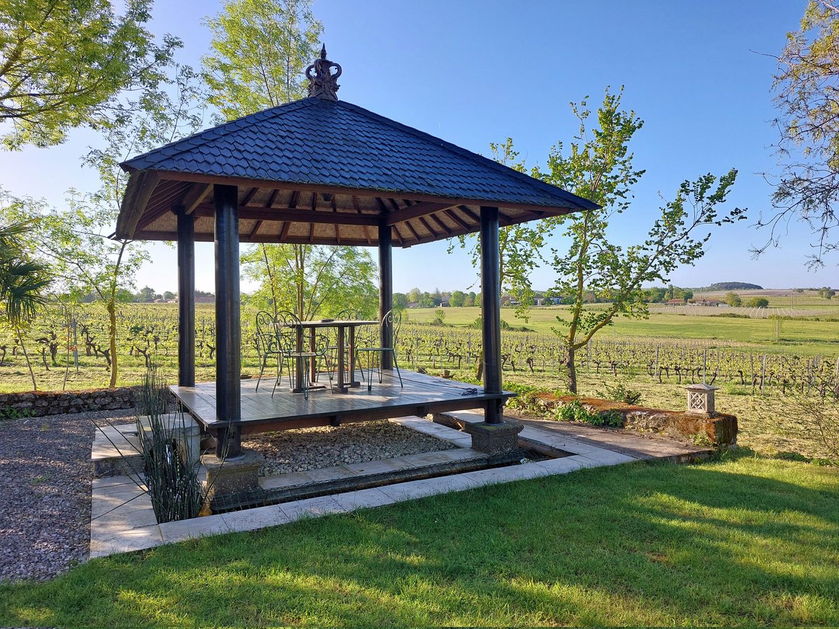 In the villa garden this morning -- the perfect spot for morning coffee! ☕☀️

#holidayvilla #villawithpool #villafortwo #vineyardview #ruralretreat #France #holidayfrance #selfcatering #charentemaritime #sawdaystravel #sawdays #specialplacestostay #inspectedandselected