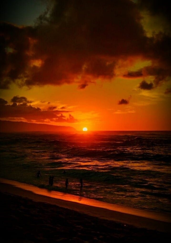 LoveU_Nature's tweet photo. #sunset #sunsetphotography #NatureBeautiful #seasunset #evening https://t.co/tD9szbMhLh