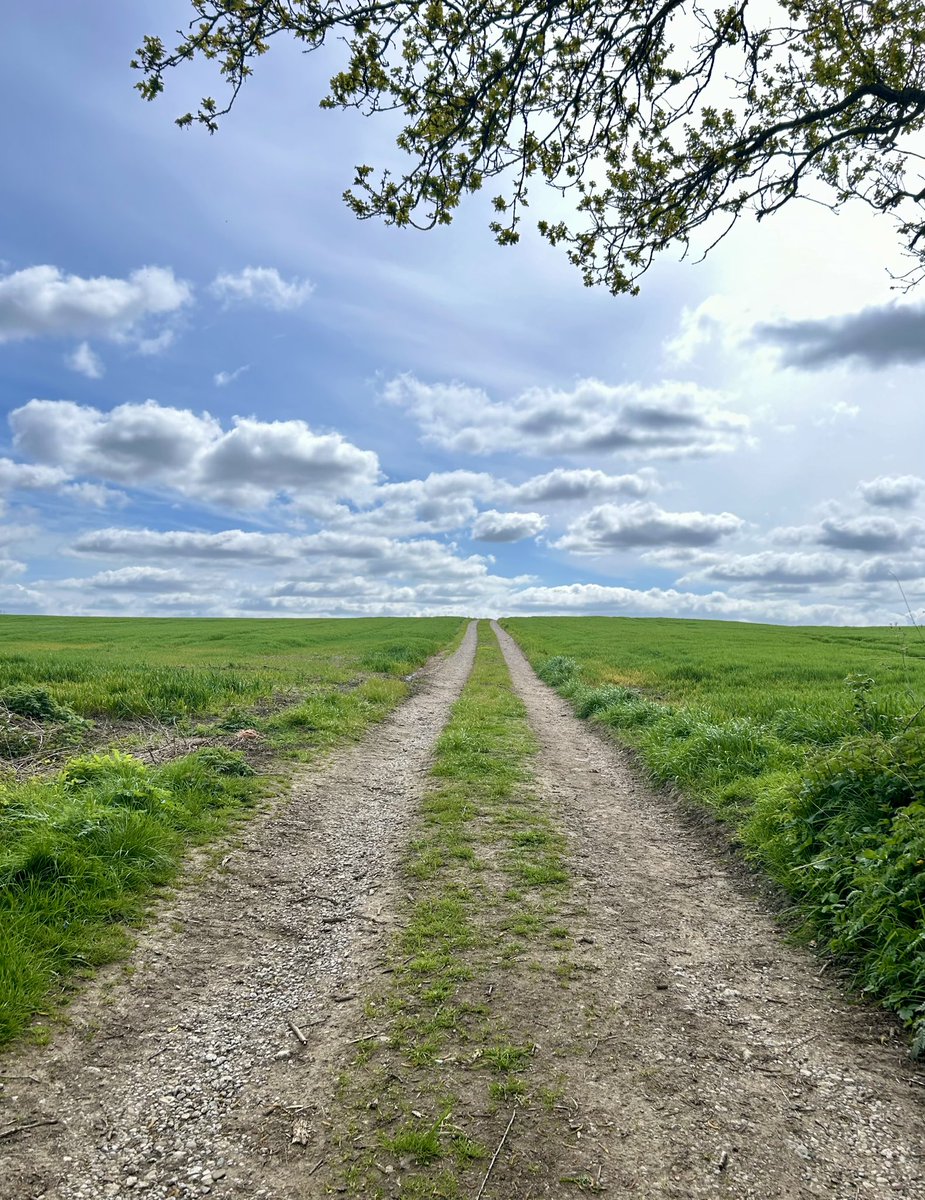 lmclea2's tweet image. Better weather innit… #methley #bridlepath #geometryinnature #path #field #nature #spring