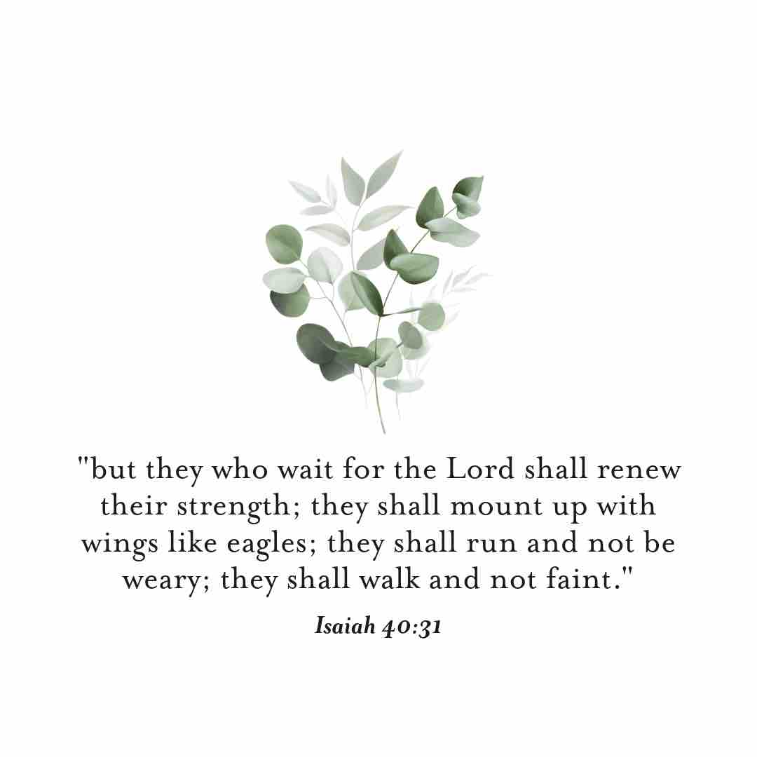“but they who wait for the Lord shall renew their strength; they shall mount up with wings like eagles; they shall run and not be weary; they shall walk and not faint.” (Isaiah 40:31) #VerseOfTheDay #Strength