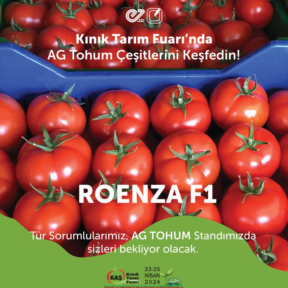 AGTohum's tweet photo. 23 - 25 Nisan 2024 tarihleri arasında düzenlenecek olan Kınık Tarım Fuarı’ndaki AG Tohum standımızda, ROENZA F1 domates çeşidimiz hakkındaki tüm detayları Tür Sorumlularımızdan öğrenebilir; çeşitlerimizi yakından inceleyebilirsiniz. https://t.co/Grtvf10UiS