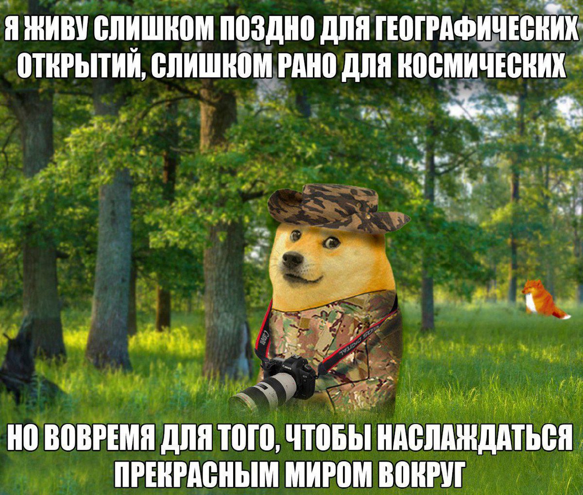 Gribanov's tweet photo. https://t.co/Ahrv4Mb98R