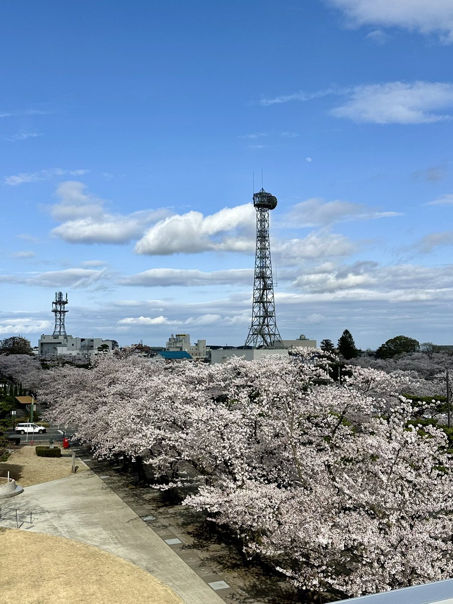 mimiyayako's tweet photo. 十和田市桜
#桜 https://t.co/yFISqHEX4I