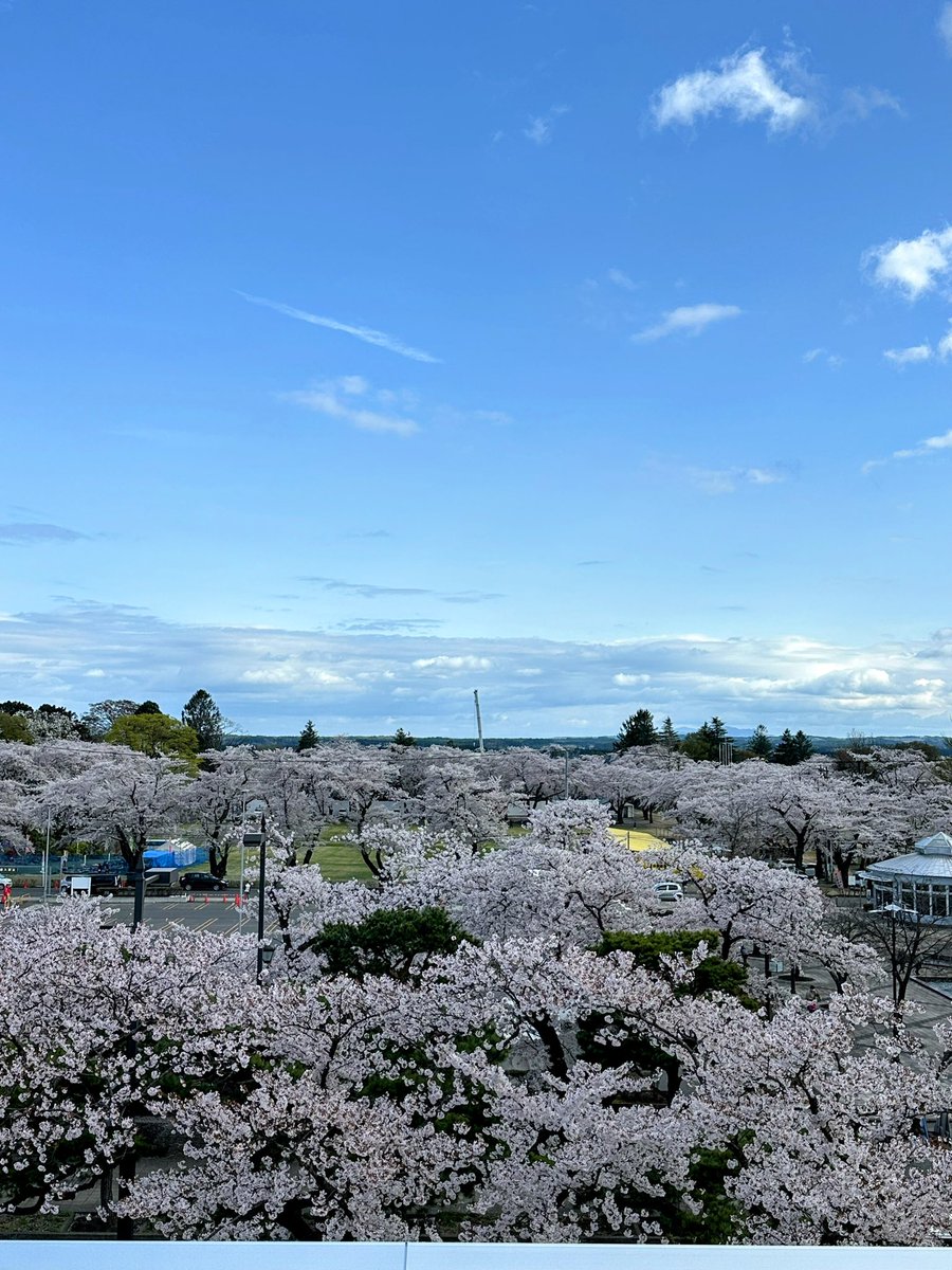 mimiyayako's tweet photo. 十和田市桜
#桜 https://t.co/yFISqHEX4I