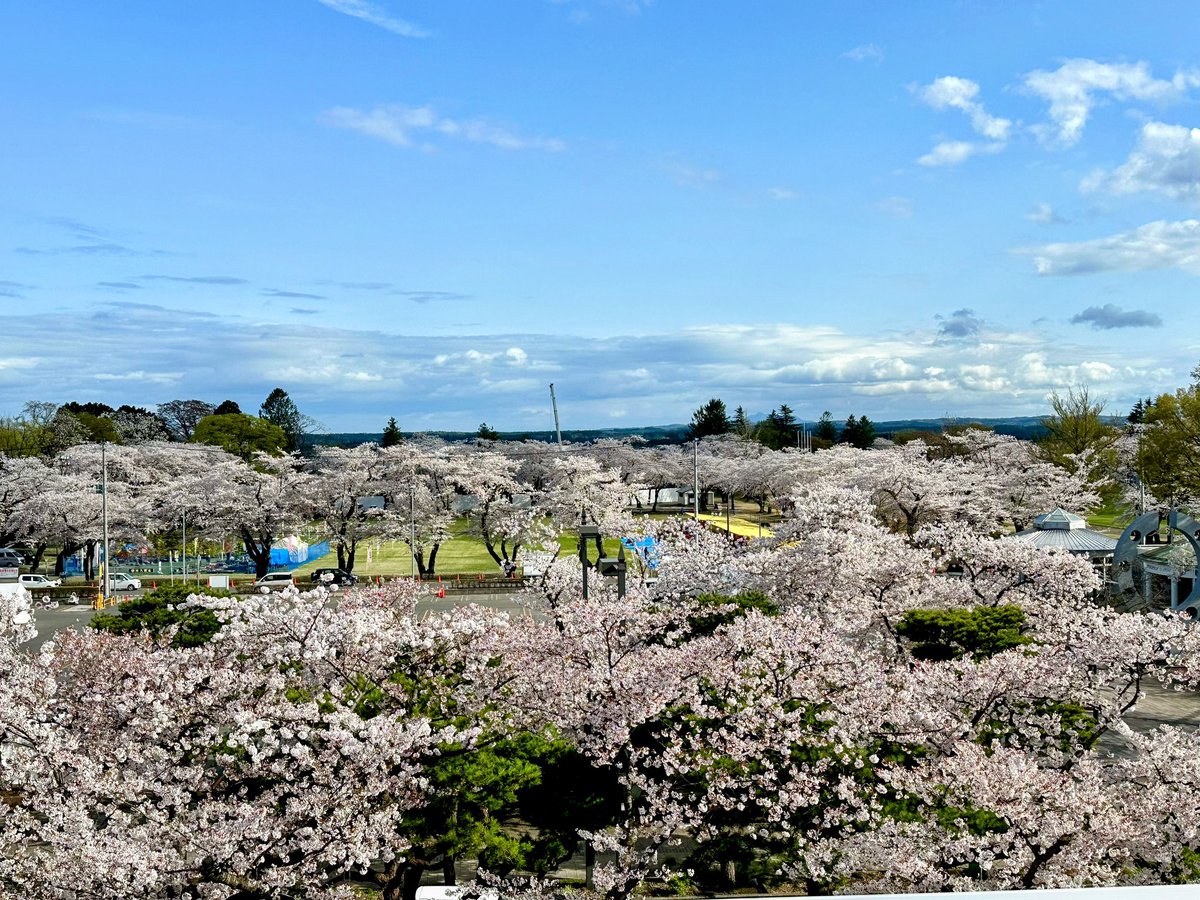 mimiyayako's tweet photo. 十和田市桜
#桜 https://t.co/yFISqHEX4I