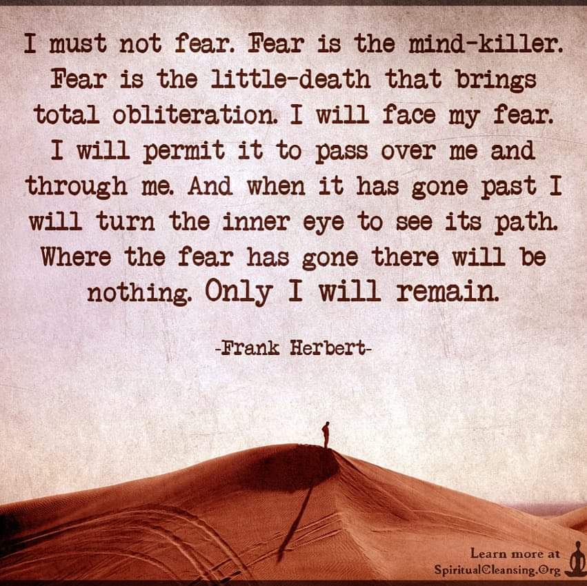 'I must not fear. Fear is the mind-killer. Fear is the little-death that brings total obliteration. I will face my fear. I will permit it to pass over me and through me... Where the fear has gone there will be nothing. Only I will remain.' - Frank Herbert