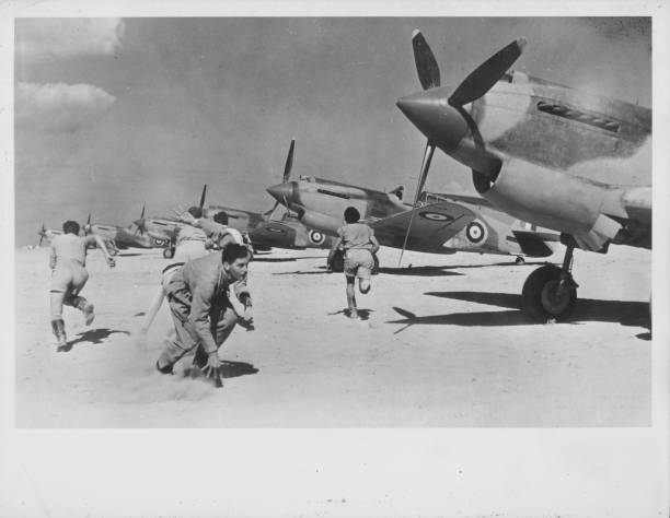 South African Air Force troops a fleet P-40 Tomahawk