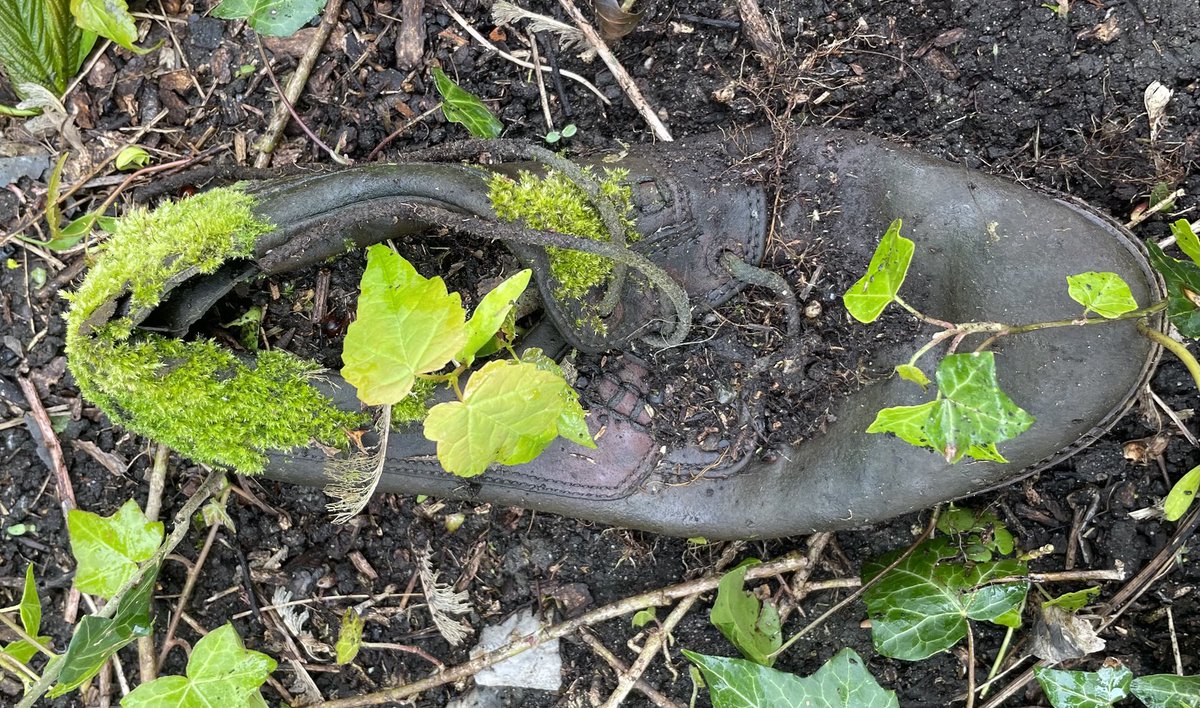 new business ideas: organic grown shoes fueled by ai ecogrowth technology