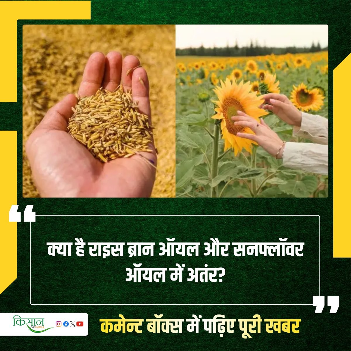 भारत में लगभग 25 लाख टन सूरजमुखी तेल का होता है आयात जानिए किस देश से कितना होता है आयात?

#KisanOfIndia #Farming #Sunflower #Agriculture #RiceOil #SunflowersOil #EdibleOil