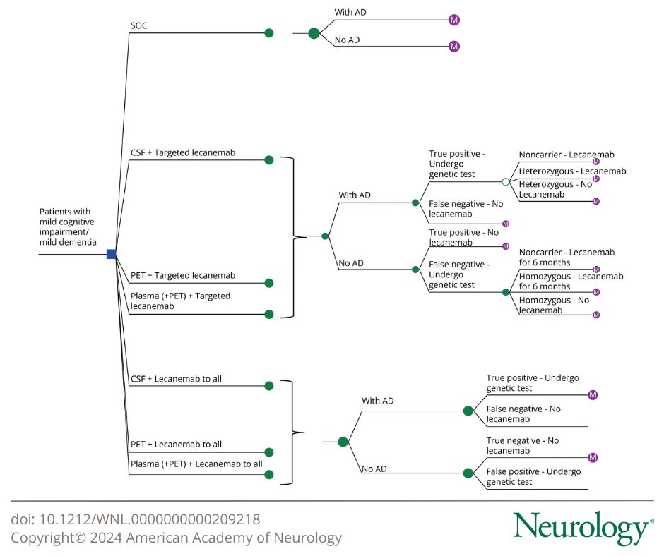 According to this study, neither targeted lecanemab treatment nor treatment unrestricted by APOE ε4 genotype is cost-effective vs standard of care alone for patients with mild cognitive impairment or mild dementia due to Alzheimer disease: bit.ly/3IDcJEJ

#NeuroTwitter