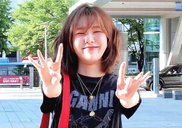 🐶✨🐶✨🐶✨🐶✨🐶✨🐶✨