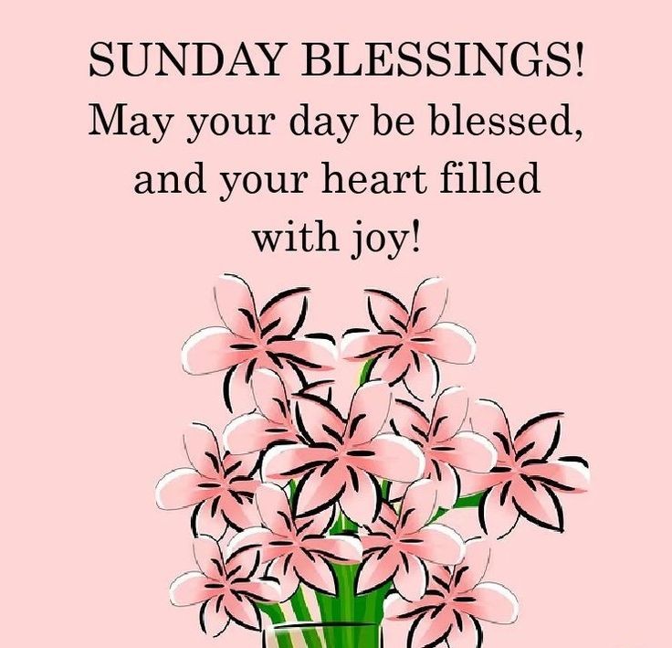 Happy Sunday! Follow us on Facebook & Instagram! #angelbdesigns4you #sundaymorning #sunday #sundayfunday #weekend #weekends #happyweekend #weekendvibes #sundayblessings #god #pray #faith #blessings #gratitude #jesus