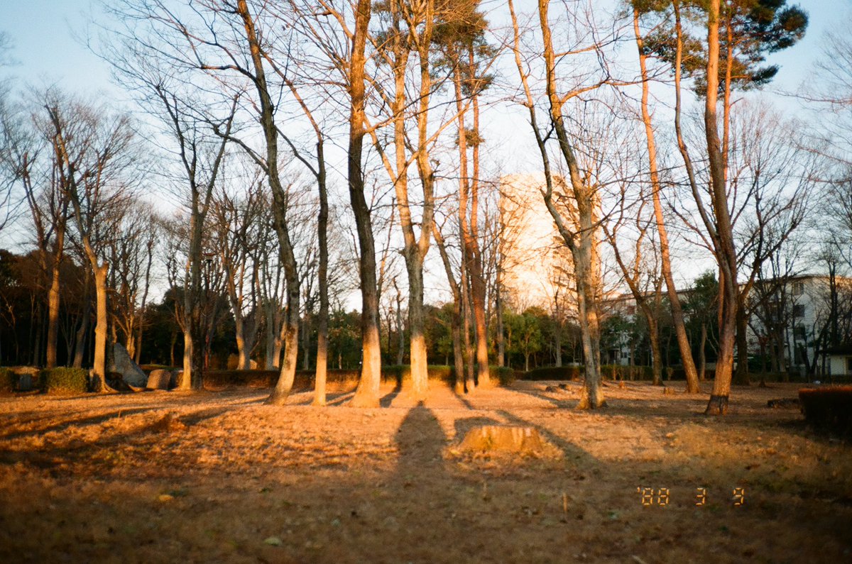 TkZW46's tweet photo. 朝 → 夕
🎞️Kodak colorplus 200
📸Kyocera slim t / yashica t4
#フィルムカメラ #フィルム写真
#kodakcolorplus200 #yashicat4
#filmisnotdead https://t.co/iCzX3NuFdJ