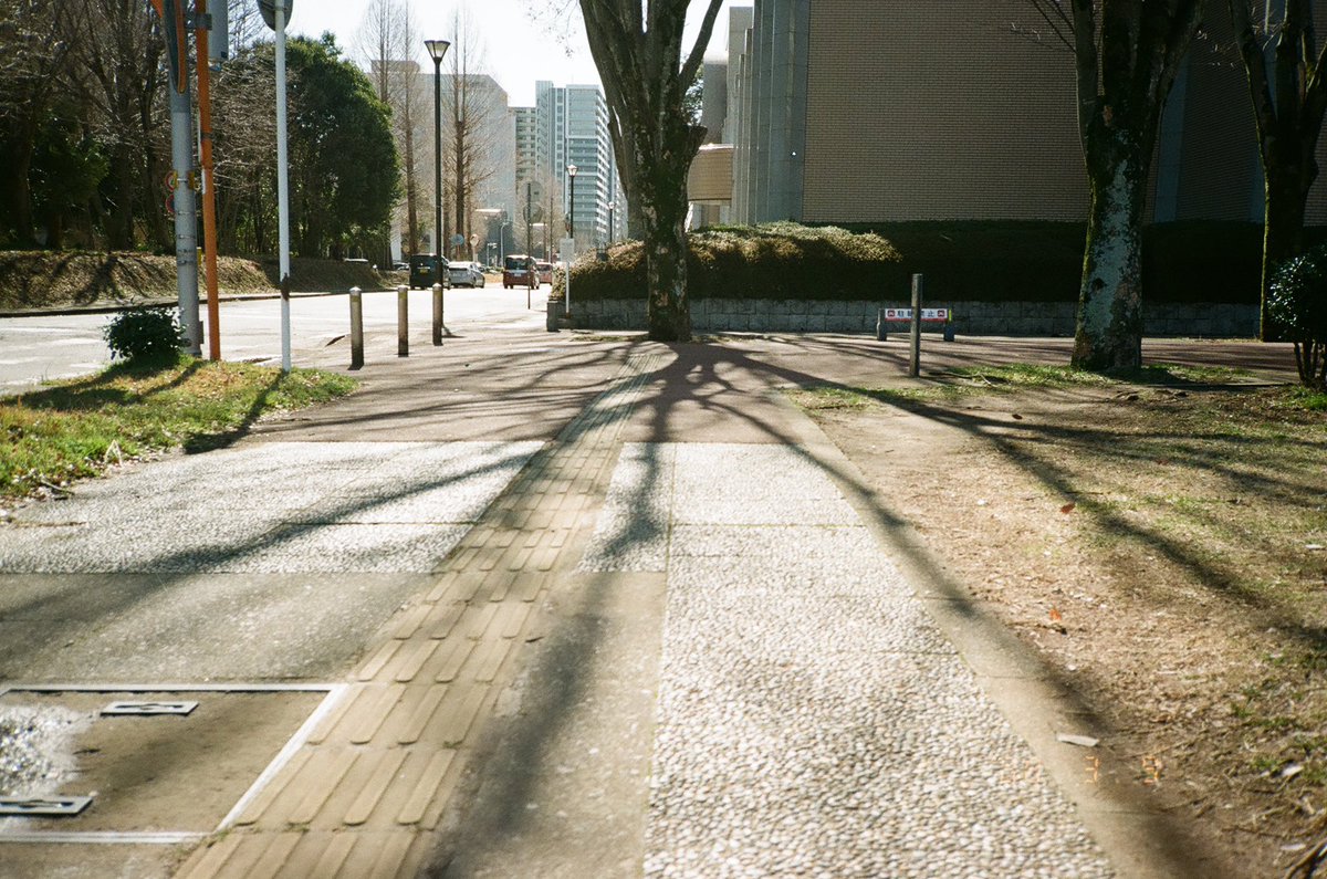 TkZW46's tweet photo. 朝 → 夕
🎞️Kodak colorplus 200
📸Kyocera slim t / yashica t4
#フィルムカメラ #フィルム写真
#kodakcolorplus200 #yashicat4
#filmisnotdead https://t.co/iCzX3NuFdJ
