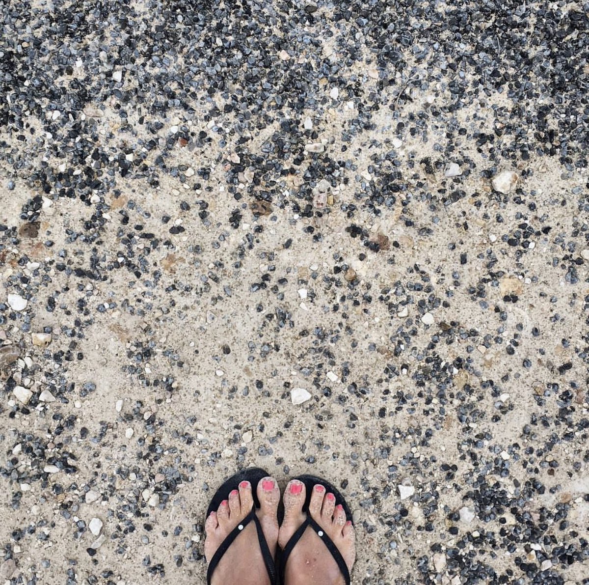 How a morning walk can inspire a new painting. Love these colours of a dusty gravel road. Inspiration all around.👀🌱