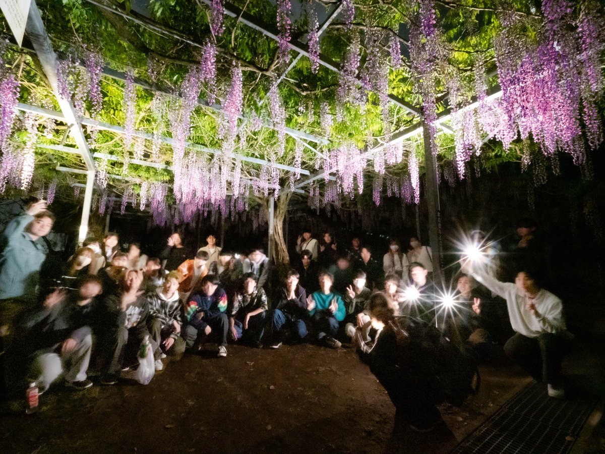 天文同好会です‼️
19日の観望では和気公園に行きました‼️
月＋黄砂であまり観測条件が良くなかったので、藤の花鑑賞しました🤩
今回の新歓は予約してないけど、行きたいです〜っていう子が来てくれてみんな連れていきましたぞい、入部してくれると嬉しいな😆
 #春から鹿大
 #鹿児島大学
 #天文同好会