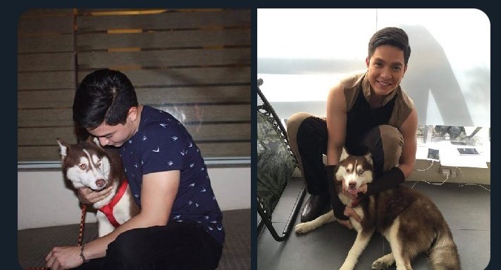 Alden's dogs ❤️🐕

1. Globie  (black and white) - gift ng fans
2. Pachuchie (white)
3. Addie 
4. Bailey
5. Max ( summer ang real name pinalitan lang)

❤️

@aldenrichards02 #aldenrichards 
Alden Richards