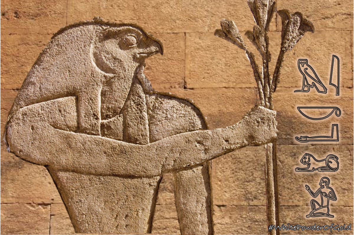 Dr Sarah Brewer tweet media