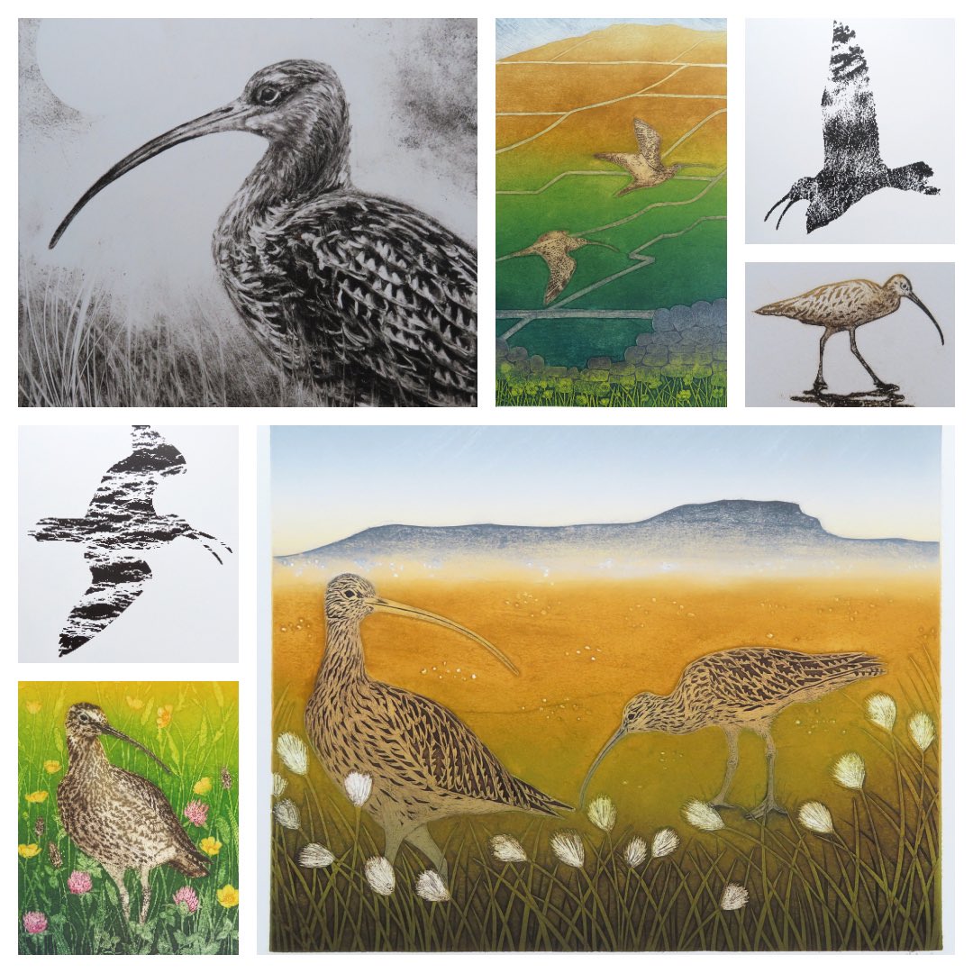 Happy World Curlew Day! These prints are inspired by this iconic bird which is under threat of extinction. World Curlew Day was created by @curlewcalls in 2017 to draw attention to its plight. Take a look at the excellent work of @CurlewAction to see how you can help.