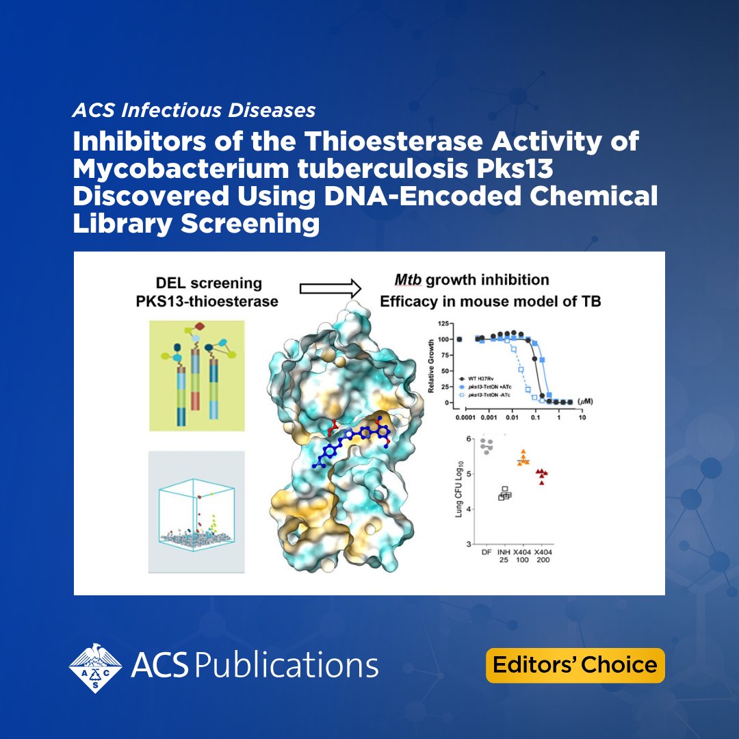 'Inhibitors of the Thioesterase Activity of Mycobacterium tuberculosis Pks13 Discovered Using DNA-Encoded Chemical Library Screening' from ACS Infectious Diseases is currently free to read as an #ACSEditorsChoice. 📖 Access the full article: go.acs.org/90q