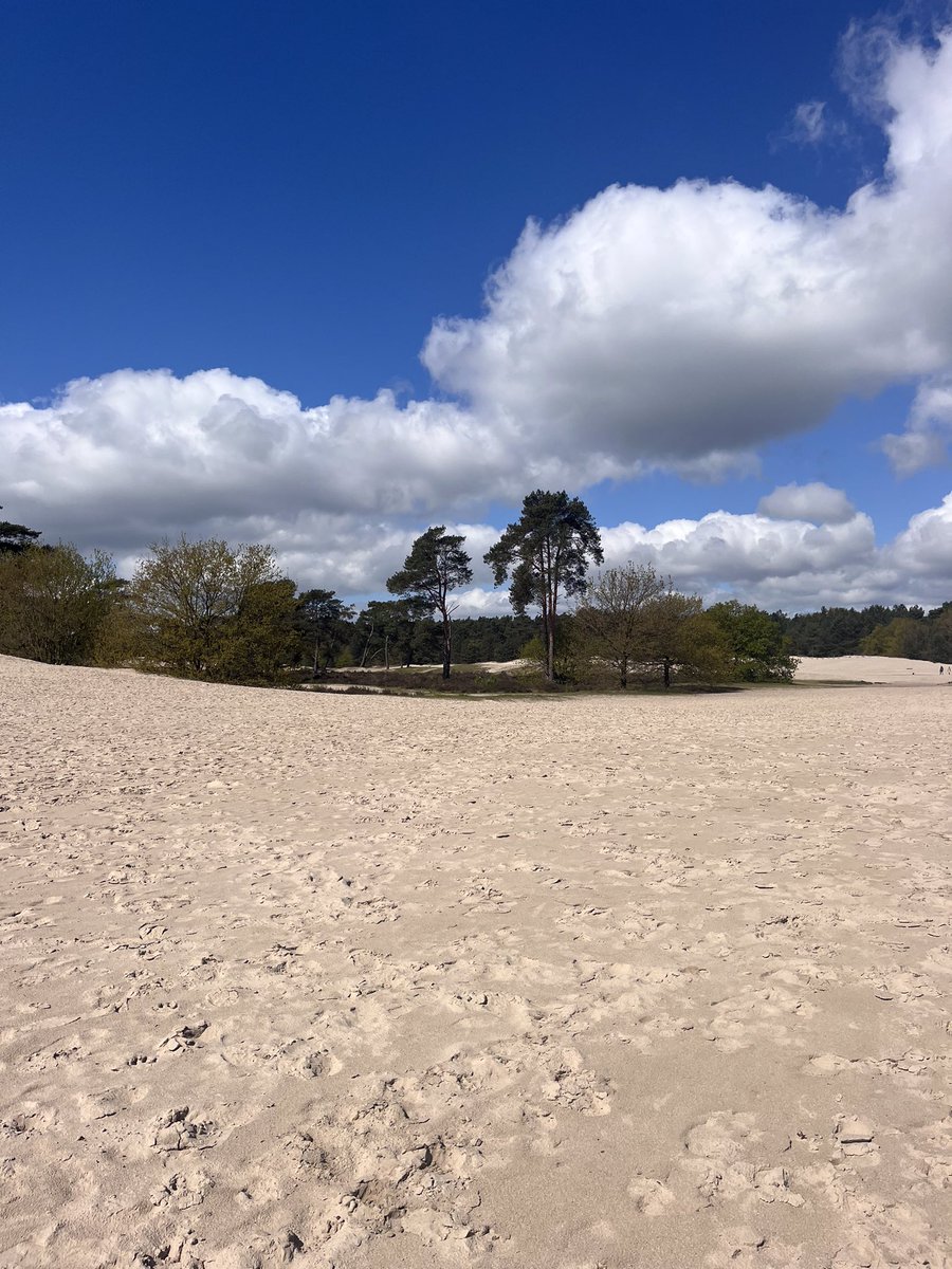anjahendriks's tweet photo. Soesterduinen @weermanreinier @BuienRadarNL #soesterduinen @mooieluchten https://t.co/ITbAKO5ReL