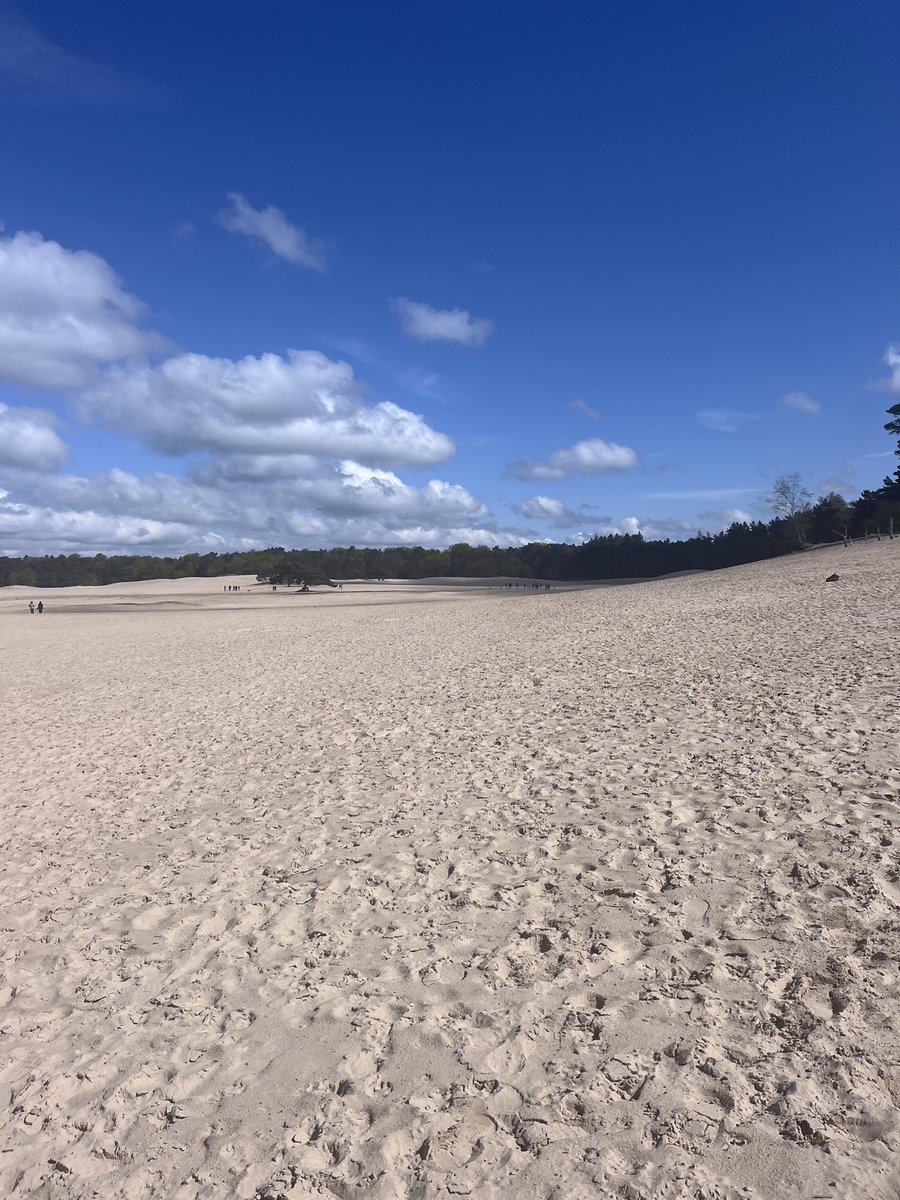 anjahendriks's tweet photo. Soesterduinen @weermanreinier @BuienRadarNL #soesterduinen @mooieluchten https://t.co/ITbAKO5ReL