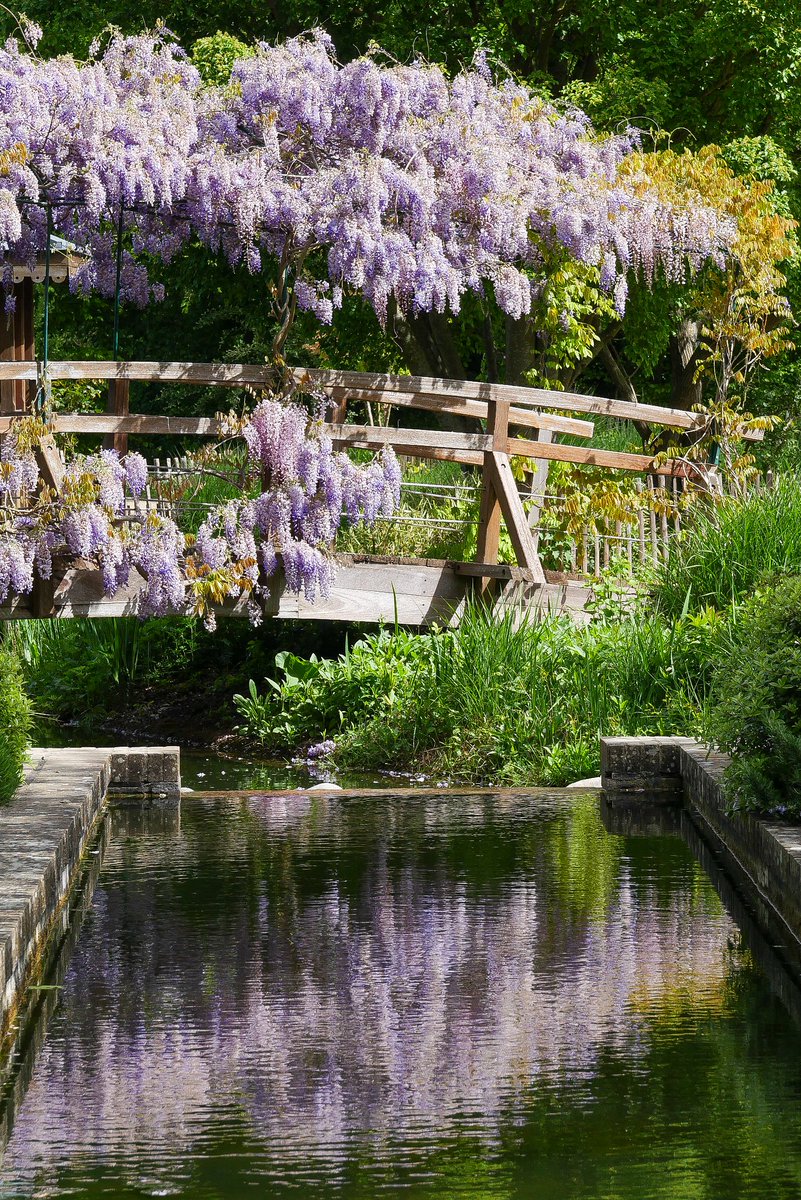 J'ai trouvé mon paradis 🪻

📍Parc des impressionnistes - Rueil Malmaison