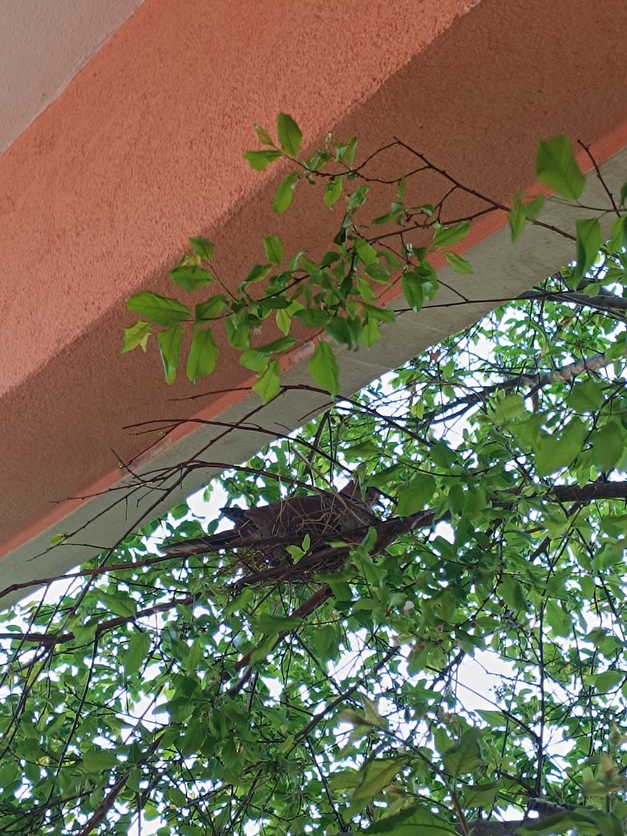 "Yuva yeryüzünde ki cennetir."