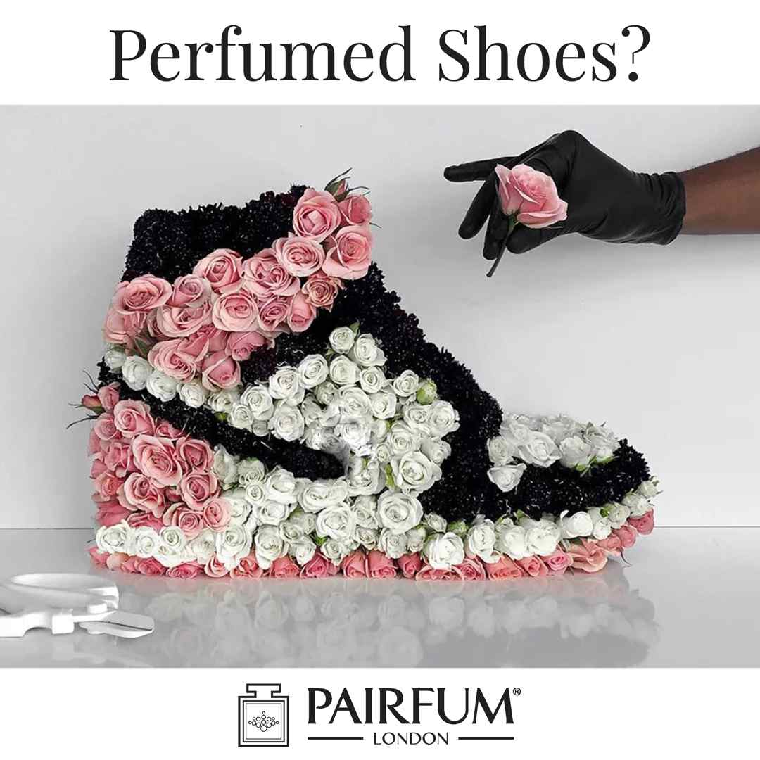 How to Perfume Shoes ? A Solution for Smelly Shoes

Now, ... the question of 'How to Perfu...

See more here:
pairfum.com/how-to-perfume…

#ArtisanPerfumersofLondon #bloggerstyle #decorinspiration #diyblog #fashionblogger #fbloggers #flower #Interior #Interiordesign #interiorinspi...