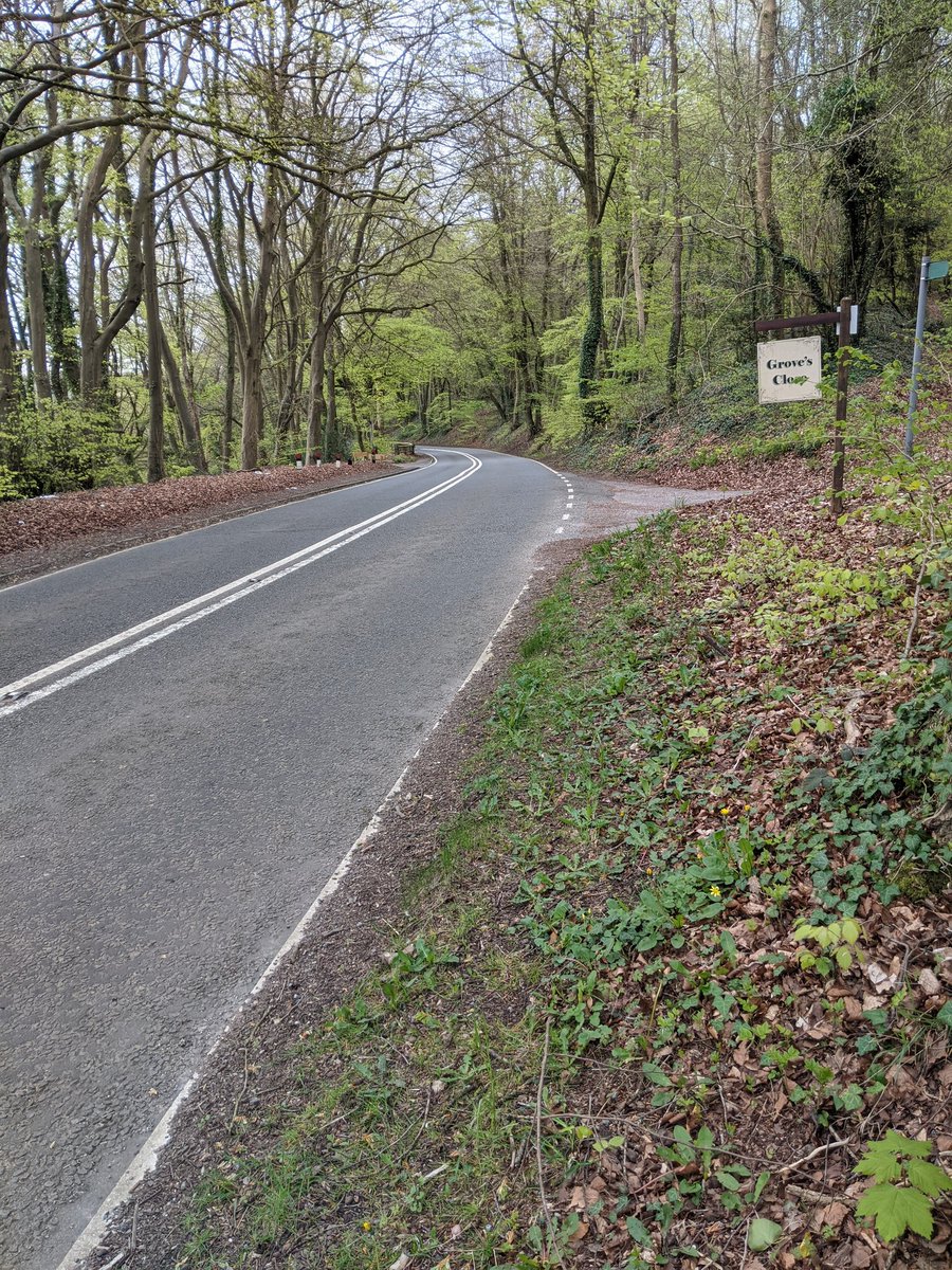 Went to the #Edge #Stroud & back with Carol on the A4173 this morning. 560 #litter items thrown from vehicles recovered from 200m of verges. Supporting @StroudDC.