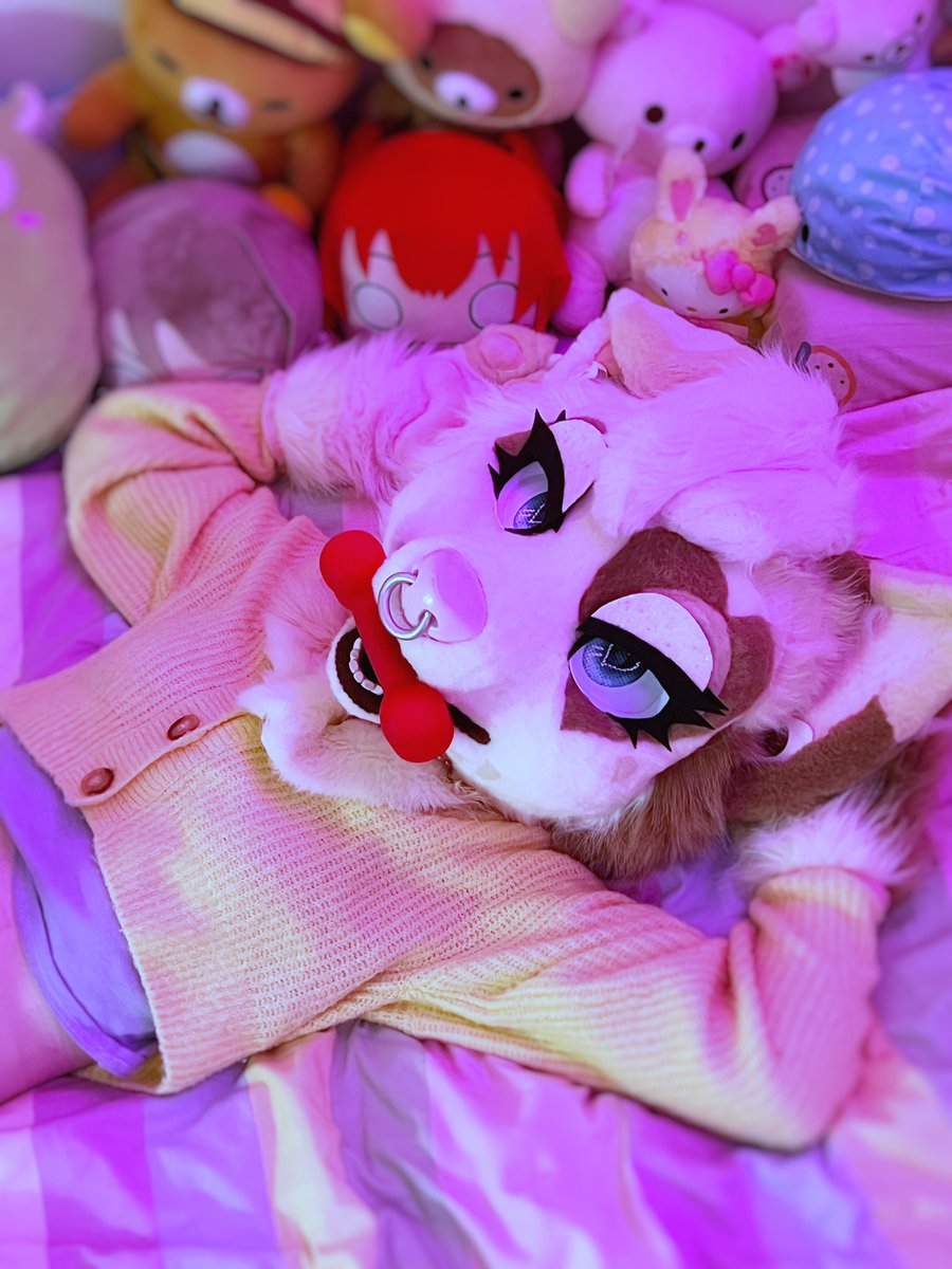 puppibats's tweet photo. happy almost done with finals.  someone save me 😭😭 https://t.co/i7Ey4MaPyQ