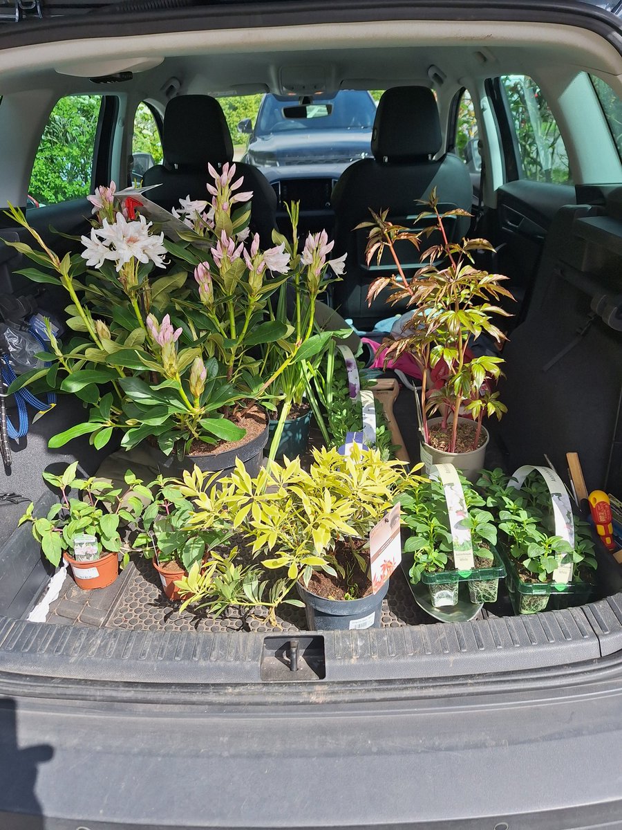 Apple Blossom Vintage tweet media