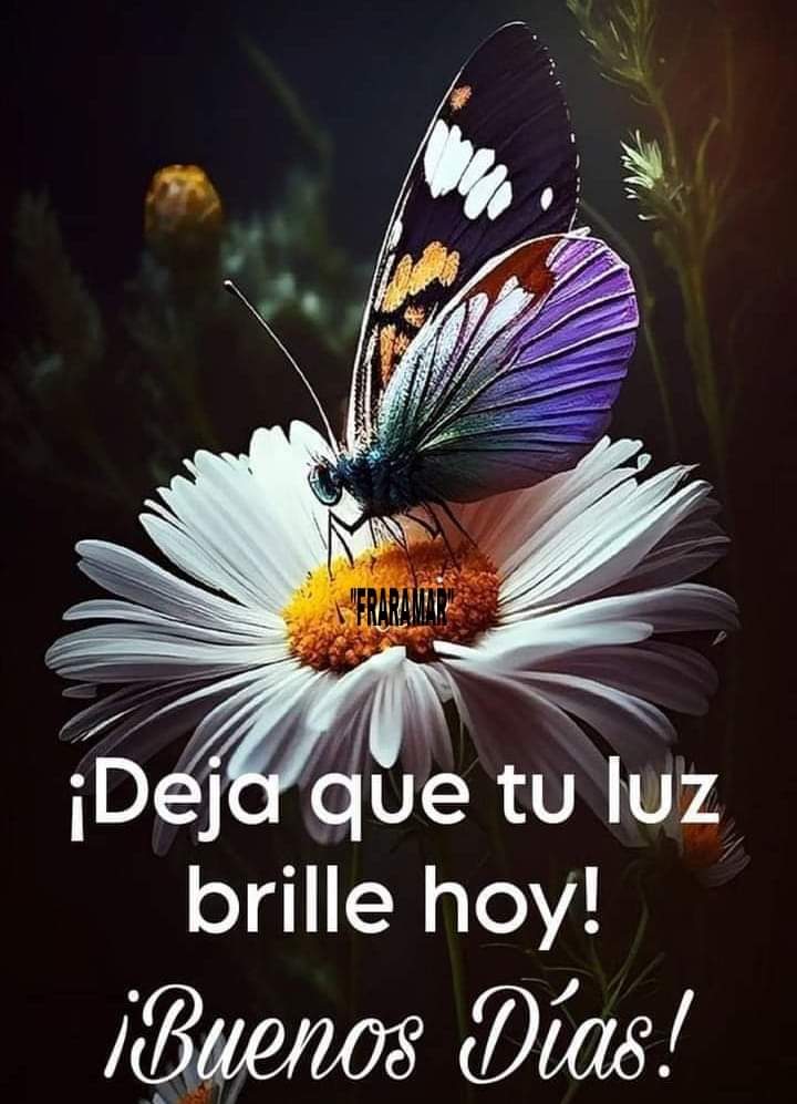 Pilar León (@pilarleon28) on Twitter photo 