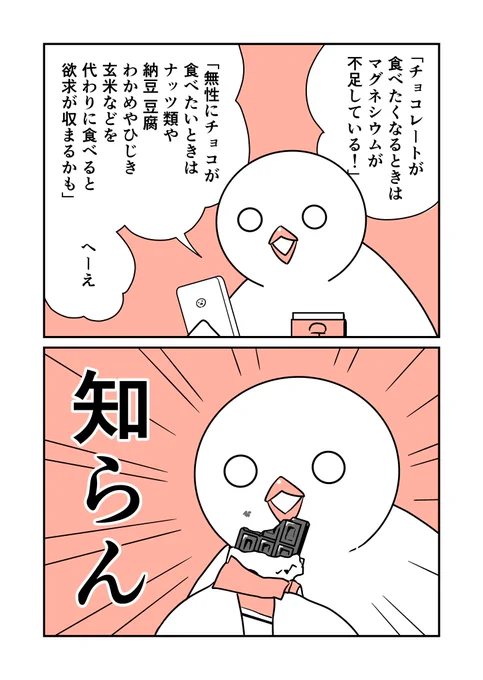 #はとにっき 