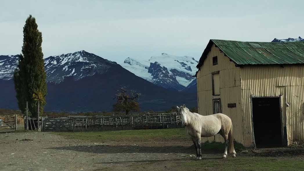 DpBallester's tweet photo. Cerca de la Naturaleza, Ruta 15 Patagonia Andina, Santa Cruz Argentina, Parque Nacional los Glaciares 📷 DPB @JoseMariAzpiazu @RespiraArg @Imagen_Arg @turisargentina #VientoSur #CaminosDeVida https://t.co/mG9oeDaNzU