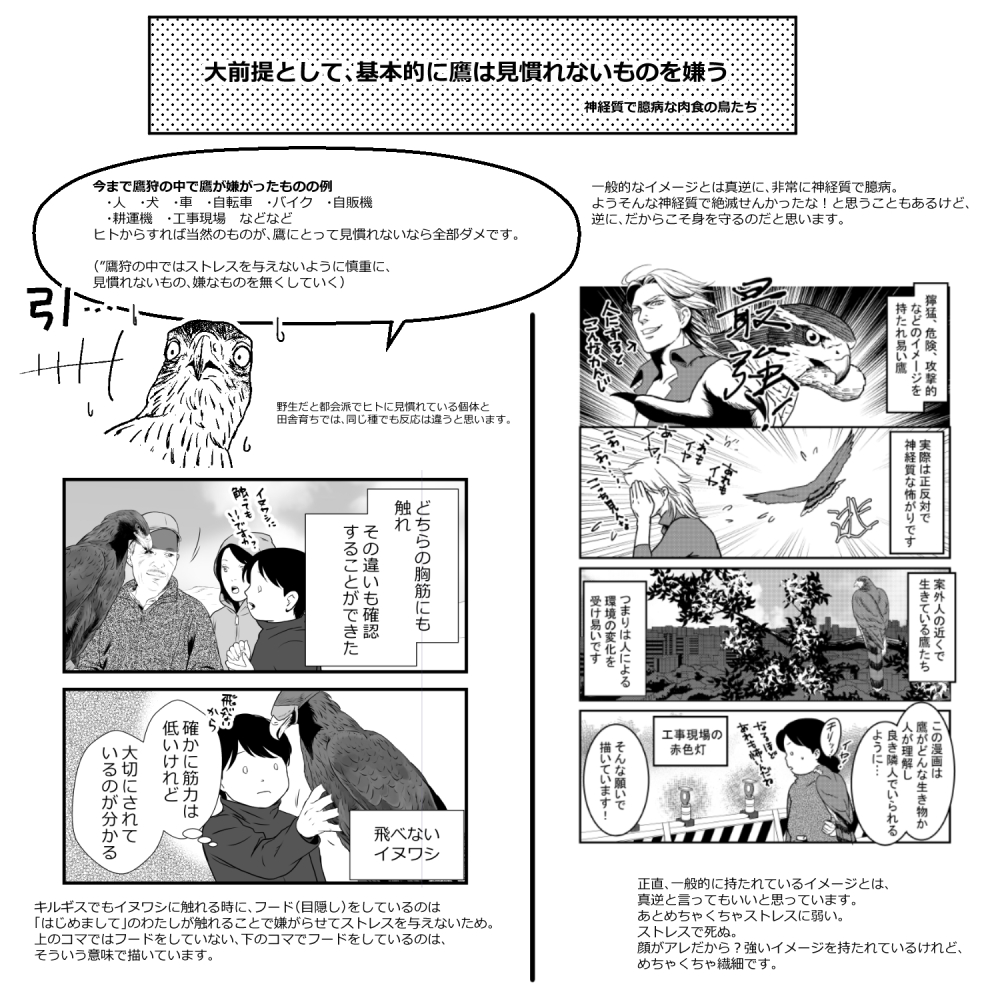 過去描いた漫画や絵を多用しての簡単なものですが、今期の繁殖がうまくいくよう、良い距離感で上手く付き合っていけますように。 