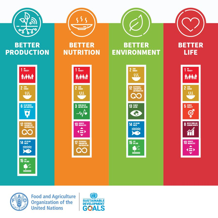 私たちの #農業・食料システム を変革しましょう 🔹より良い生産 🔸より良い栄養 🔹より良い環境 🔸より良い生活 ...のために。 力を合わせれば、誰一人取り残さない、#持続可能 で食料が保障された世界は実現可能です。 #4Betters