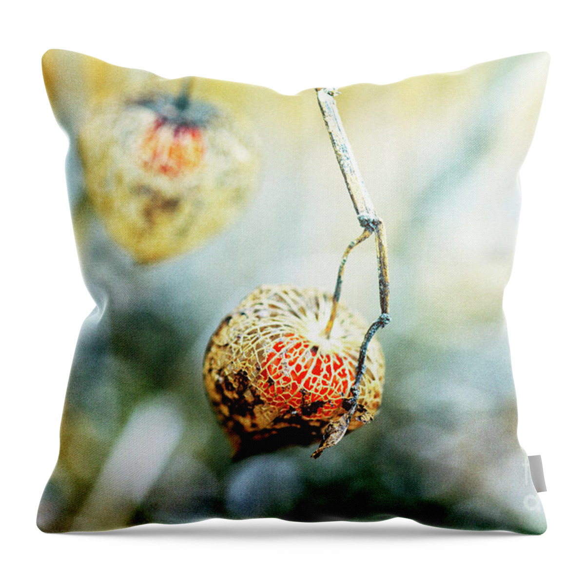Home decor for #mothersday Give a #gift of #art fineartamerica.com/featured/magic… #buyintoart #homedecor #pillows