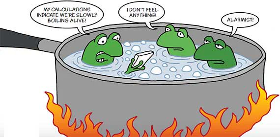 Frog story.