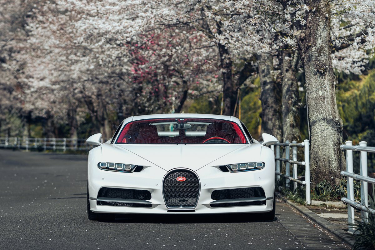 Bugatti's tweet photo. Just as the cherry blossoms of Japan symbolize a contrast of revival and ephemerality, this CHIRON perfectly embodies BUGATTI’s duality; combining both performance and beauty. Adorned in pure white and intense red, the timeless masterpiece seamlessly merges into the spring scenery.

#BUGATTI #CHIRON
–
WLTP: https://t.co/q4VWMC2rVI