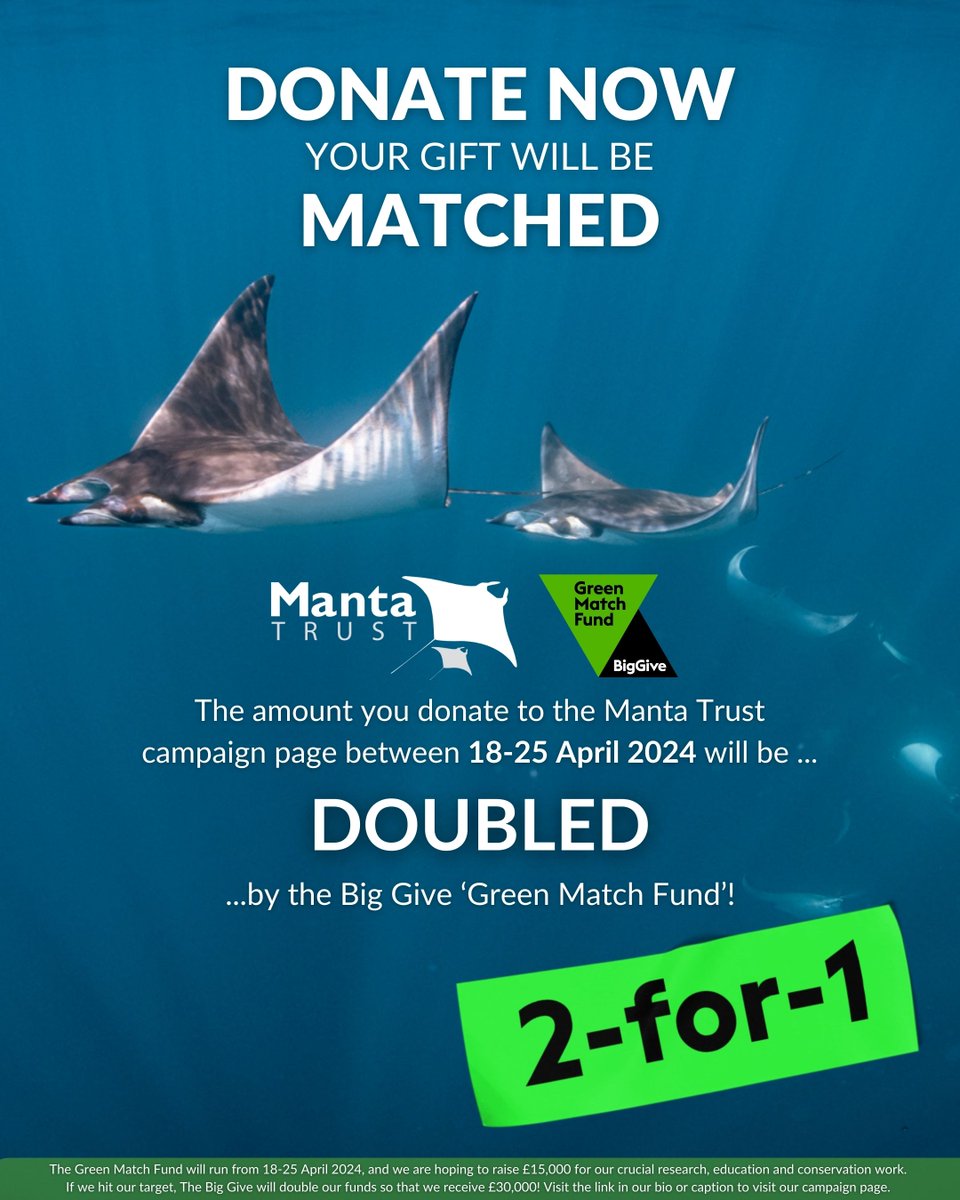 💙 £2 = £1 💙 Your donation is worth double the amount! From the 18th-25th April, every donation made to the Manta Trust, via the campaign page, will be doubled. 🌿🎁 🔗 Click the link below and make DOUBLE the difference today! 👉bit.ly/3QepXM9