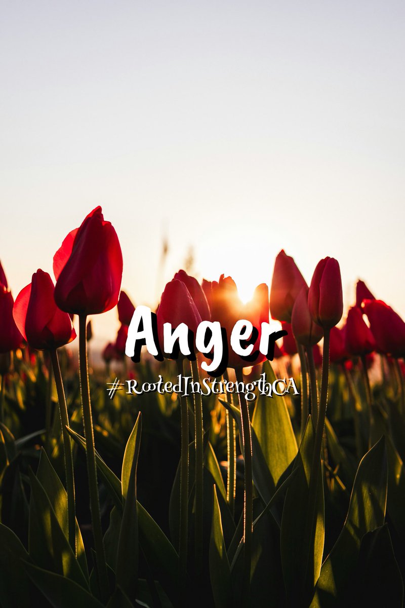 Don’t let Anger in your heart disrupt your interactions with strangers or those you love. There is a time and a place you can have Anger and be Angry just not when you are emotional. Pray before you respond. 
James 1:19-20 
#RootedInStrengthCA