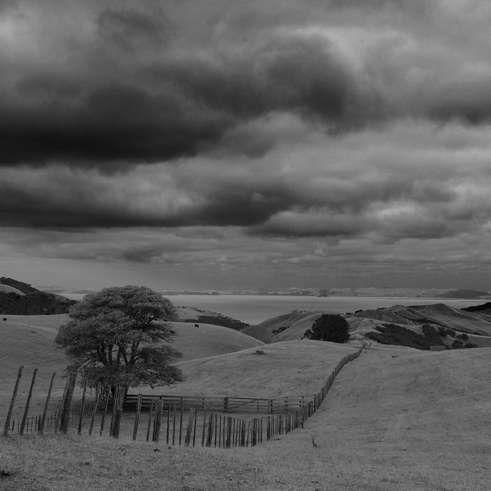 Kenneth83232172's tweet photo. "The Approaching Storm" (New Zealand) 

Find It Here: https://t.co/7khH5v5L1D

#buyintoart #rtartboost #daylily #blackandwhitephotography  #landscapephotography #photographylovers #walldecor #artprints #fineartphotography #storm https://t.co/3lE2lnSlTX