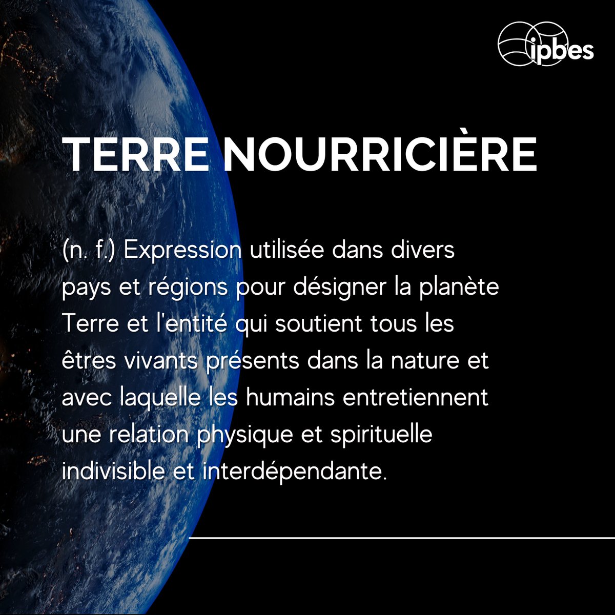 Curieux de décrypter le langage de la #biodiversité en cette #JournéeDeLaTerre?🌱 La Terre nourricière... aussi connue sous le nom de : 🌎Terre 🌏Planète Terre 🌍Mère Nature 🌎Planète Bleue 🌍Gaïa Protégeons la. Mais qu'entend-on par 'Terre nourricière', selon l'@IPBES?🤔⬇️