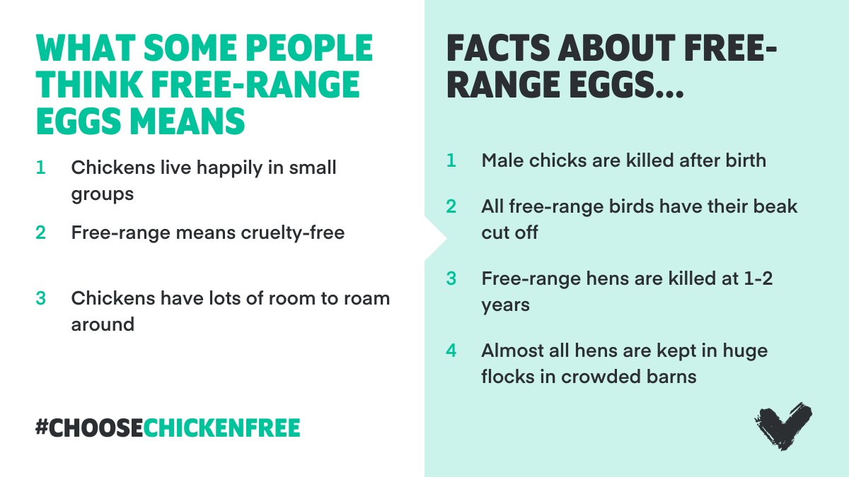 Did you know the facts about free-range eggs? 🐔⁠
⁠
#ChooseChickenFree